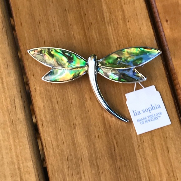 Lia Sophia Jewelry - Lia Sophia☀️Dragonfly brooch